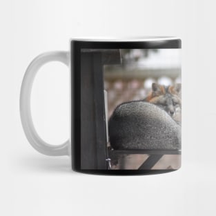 Grey Fox Mug